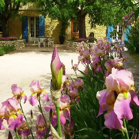 Hotel Des Figourieres *